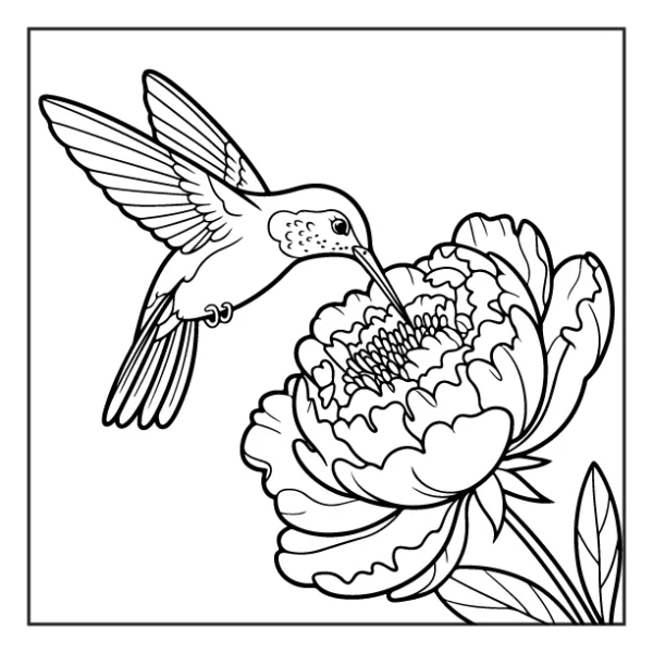 Desenhos de Beija-Flor para colorir 37