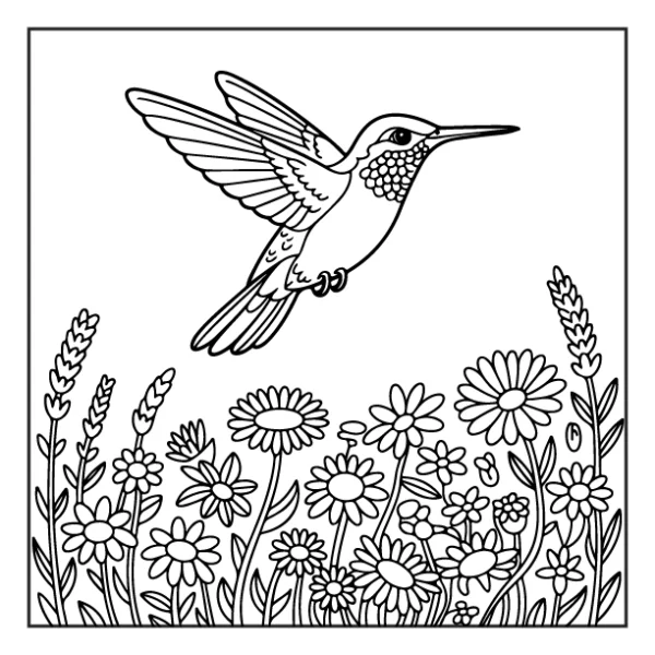 Desenhos de Beija-Flor para colorir 38