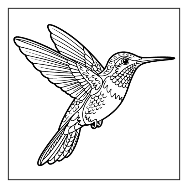 Desenhos de Beija-Flor para colorir 40