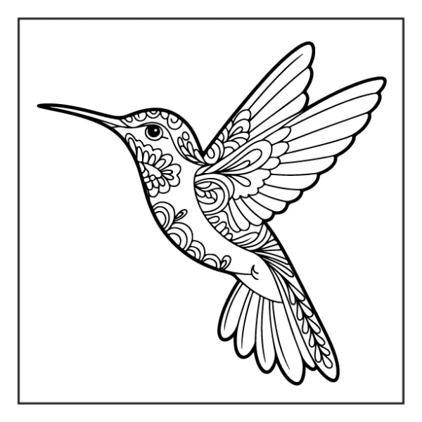 Desenhos de Beija-Flor para colorir 6