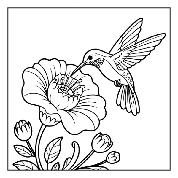Desenhos de Beija-Flor para colorir 7