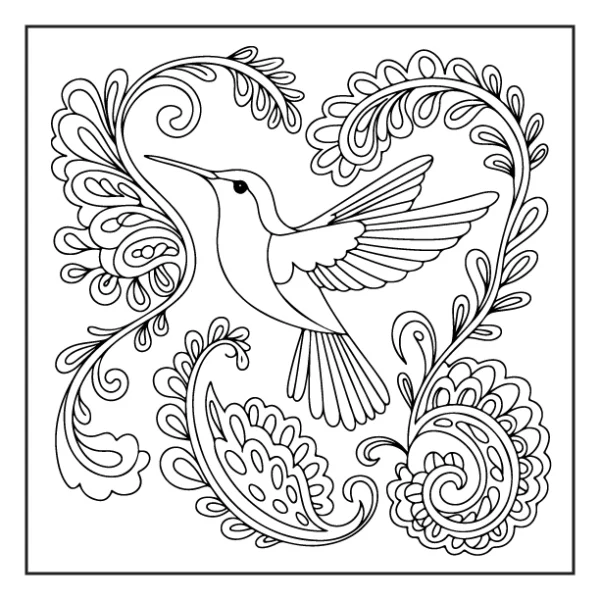 Desenhos de Beija-Flor para colorir 8
