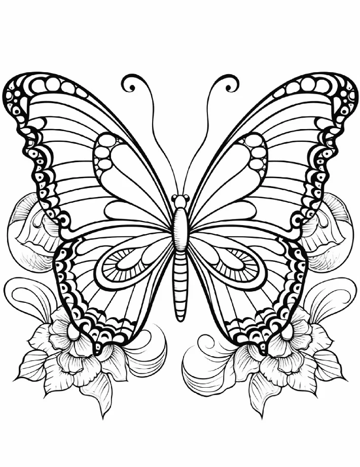 Desenhos de Borboletas para colorir 13