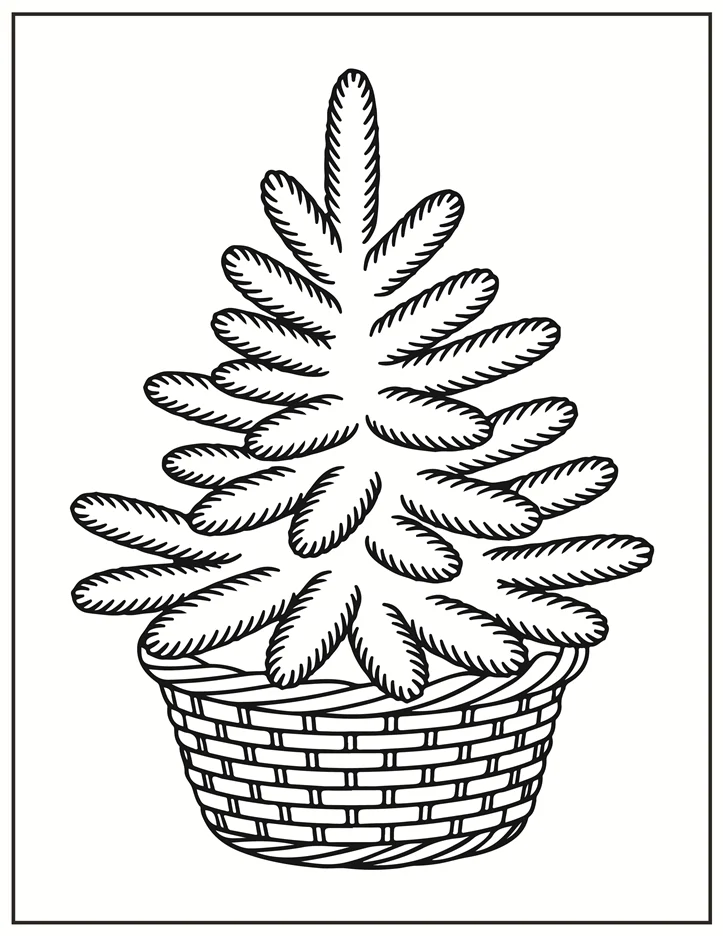 Desenhos de Natal para colorir 33