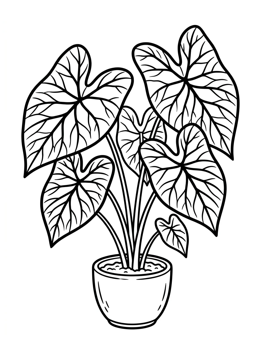 Flores para colorir 14
